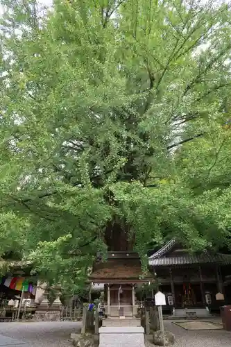 正法寺(滋賀県)