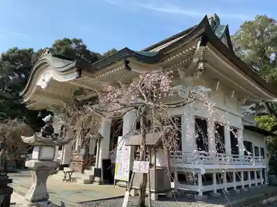 武雄神社(佐賀県)