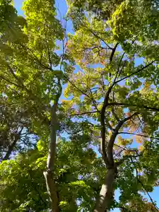 伊達神社(北海道)(2023年10月18日(水) 18時16分33秒投稿)