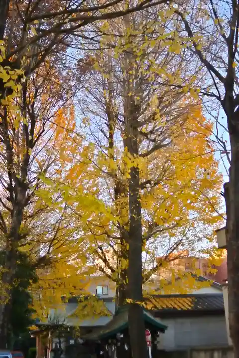 穏田神社(東京都)