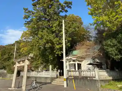 蛭子神社（大原町千代ヶ丸）(徳島県)