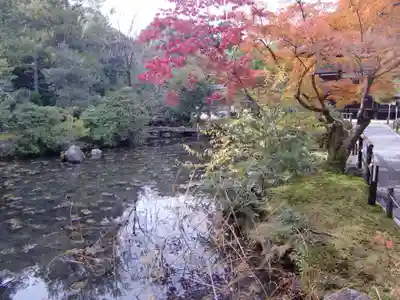 金地院(京都府)