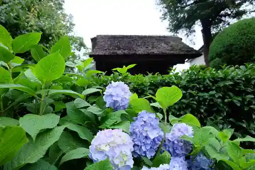 極楽寺（霊鷲山感應院極楽律寺）の山門・神門