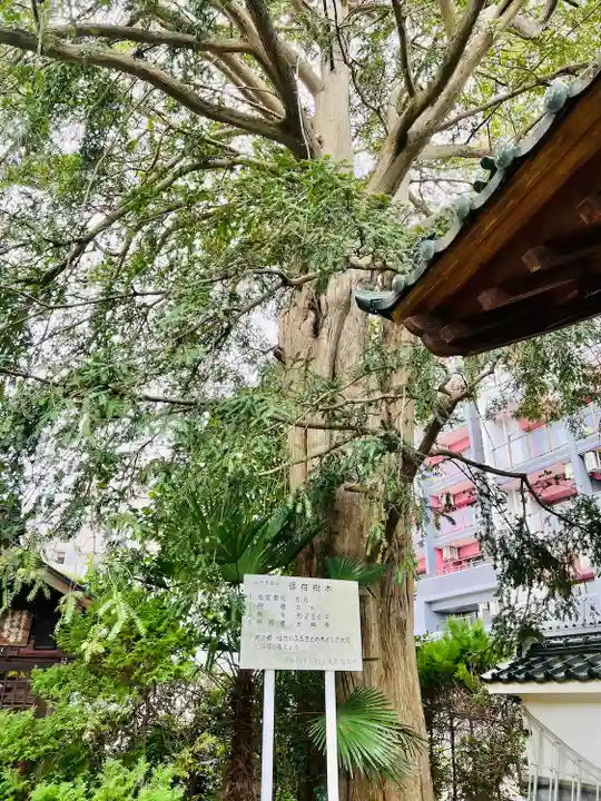 大林寺(宮城県)