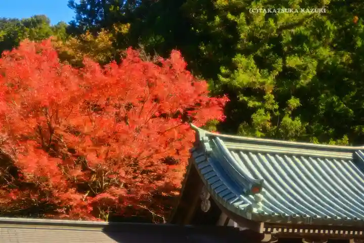 最乗寺(道了尊)(神奈川県)