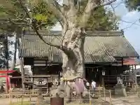 白鳥神社(長野県)