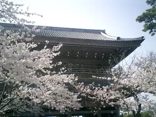 光明寺の山門