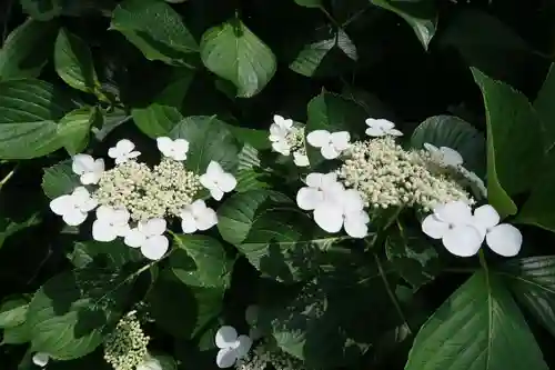 性海寺(愛知県)