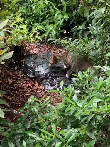 三輪神社の動物