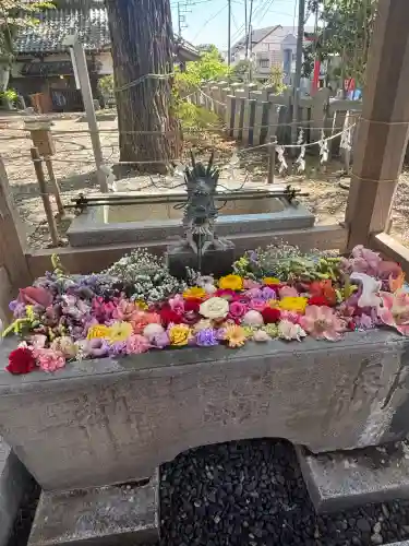 玉前神社の{uncategorized: "未分類", other: "その他", undefined: "問題あり", building: "その他建物", grave: "お墓", sacred_gate: "鳥居", guardian: "狛犬", statue: "像", buddha: "仏像", history: "歴史", nature: "自然", garden: "庭園", animal: "動物", pagoda: "塔", temizu: "手水舎", mountain_gate: "山門・神門", sanctuary: "本殿・本堂", subordinate: "末社・摂社", art: "芸術", scenery: "景色", jizo: "地蔵", ema: "絵馬", goshuin: "御朱印", omikuji: "おみくじ", items: "授与品その他", amulet: "お守り", goshuincho: "御朱印帳", eats: "食事", festival: "お祭り", votive_dance: "神楽", shichigosan: "七五三参", wedding: "結婚式", experience: "体験その他", initially: "初詣", around: "周辺", anti_infection: "感染症対策"}