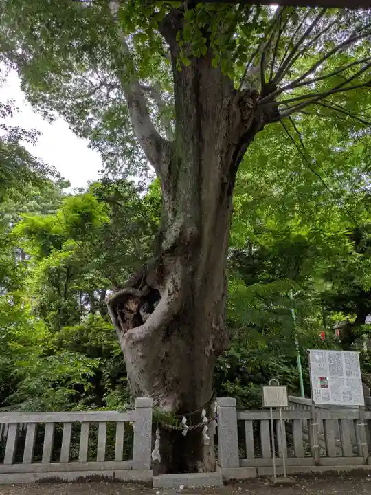 青渭神社(東京都)