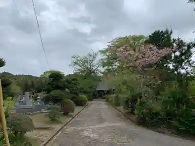 円蔵寺(千葉県)