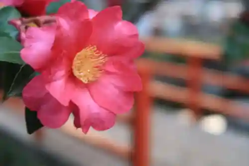 建部大社の自然