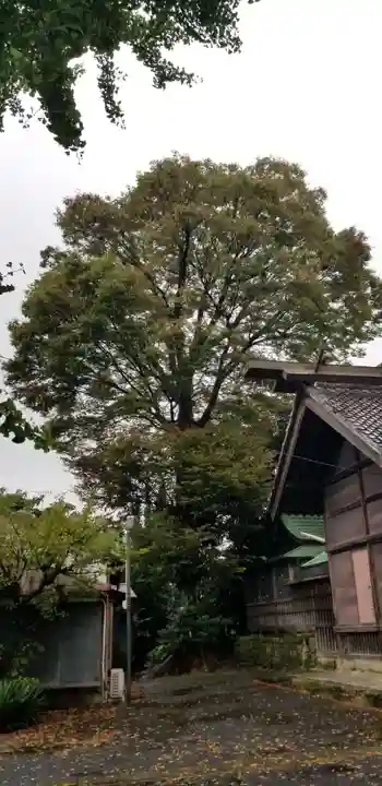 中川氷川神社(東京都)