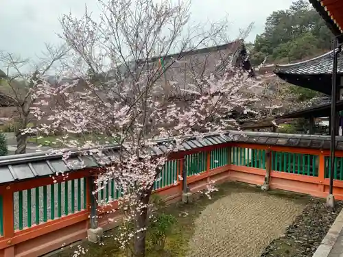 毘沙門堂門跡(京都府)