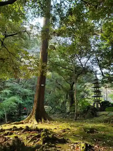 成田山新勝寺のその他建物