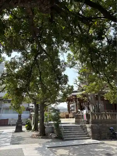 大鳥神社(東京都)