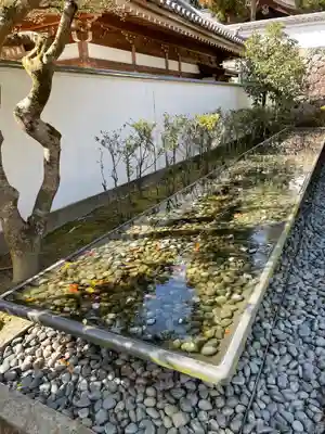 清荒神清澄寺のその他建物