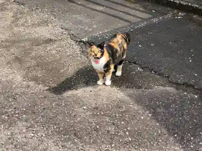 お松大権現の動物