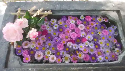 北広島市総鎮守　廣島神社の手水舎