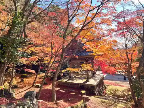 東光寺(滋賀県)