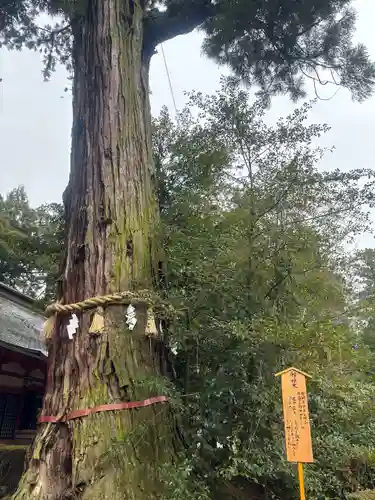 香取神宮(千葉県)