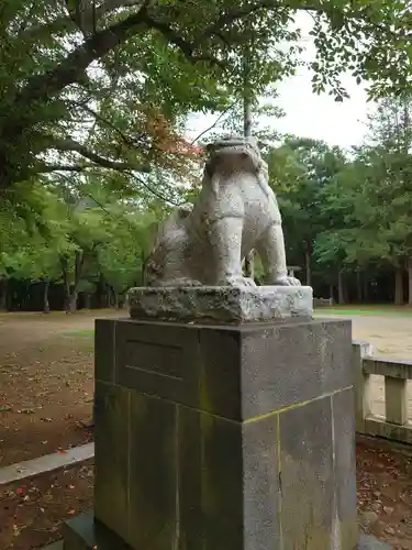 岩内神社の狛犬