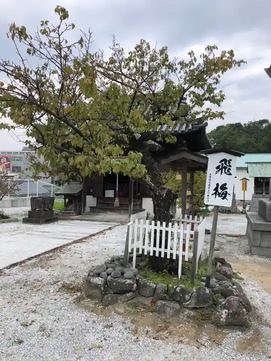 曩祖八幡宮の自然