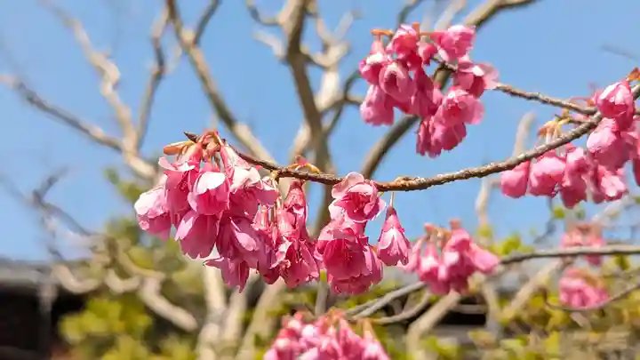 後白河院御聖蹟 法住寺(京都府)