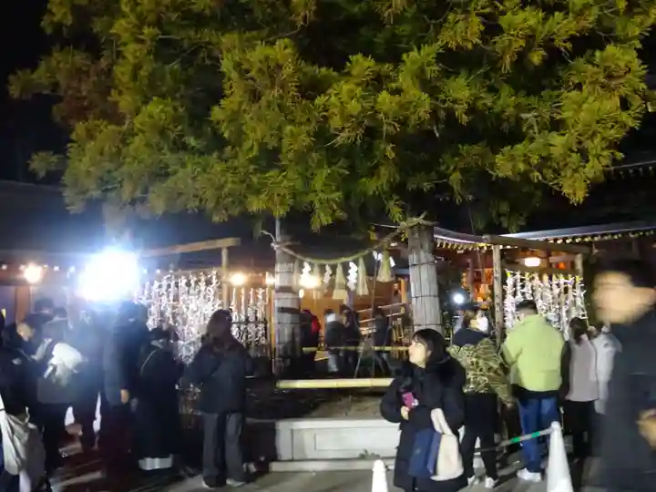 寒川神社のおみくじ