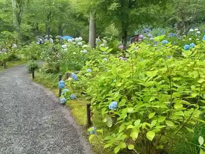 三千院門跡(京都府)
