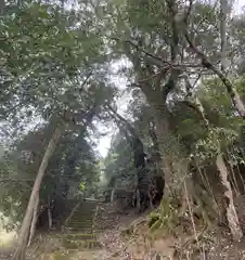 多摩良木神社(兵庫県)