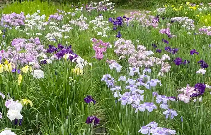 小國神社(静岡県)