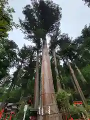 日光二荒山神社の自然