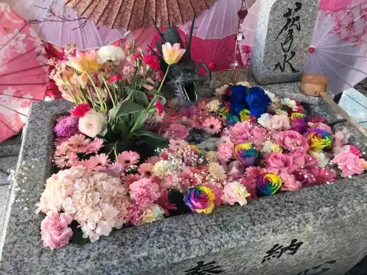 札幌諏訪神社の手水舎