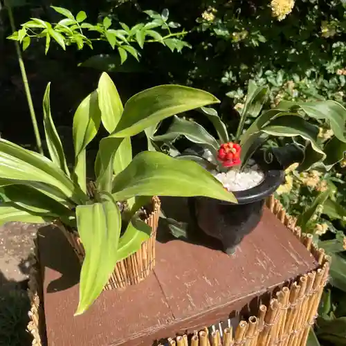 上野東照宮(東京都)