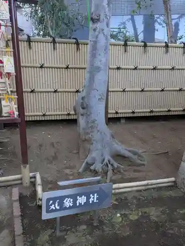 気象神社(東京都)