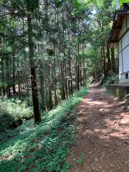 阿夫利神社の自然