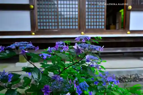 高幡不動尊　金剛寺(東京都)