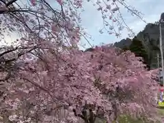 中之嶽神社の自然