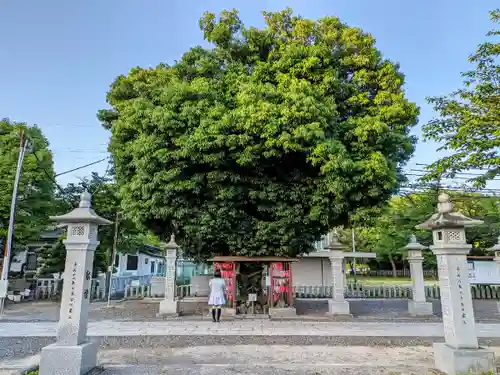 白山神社（二子町）の自然