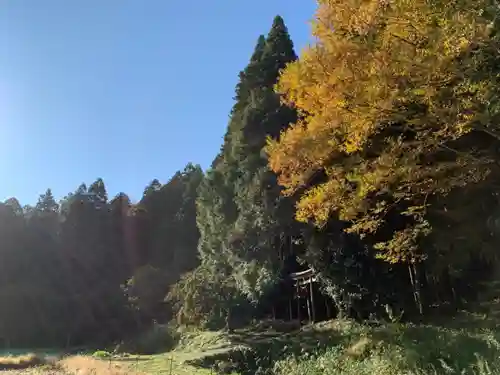 白山神社の自然