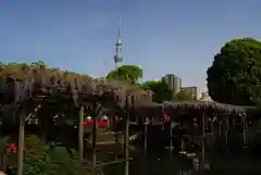 亀戸天神社の景色