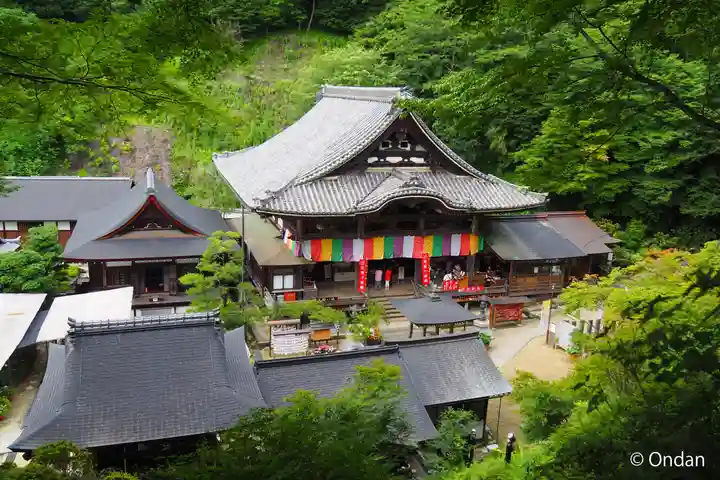 岡寺(龍蓋寺)(奈良県)