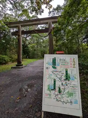 戸隠神社奥社の鳥居