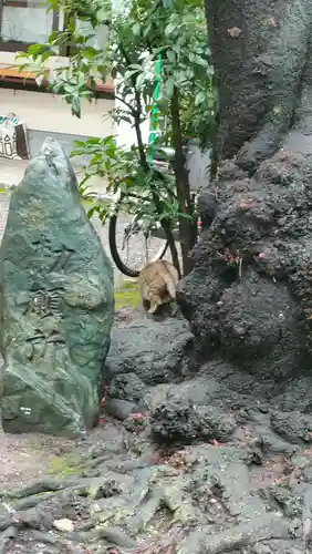 御津八幡宮(大阪府)