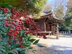 佐野赤城神社(栃木県)