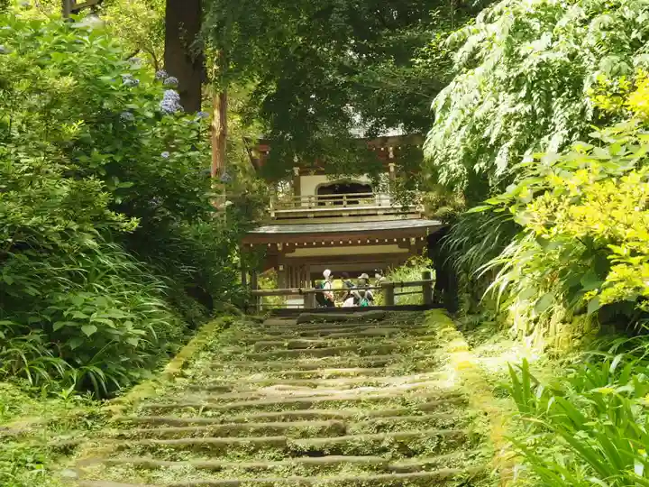 浄智寺(神奈川県)