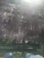 禎祥寺(愛媛県)