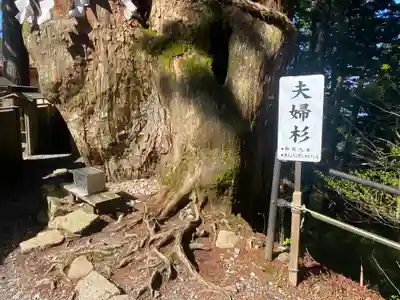 玉置神社(奈良県)